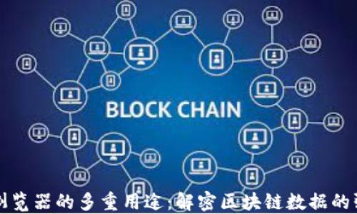 
区块链浏览器的多重用途：解密区块链数据的强大工具