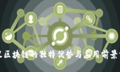 小蚁区块链的独特优势与应用前景分析