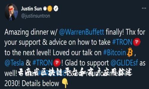 云南省区块链平台和商户应用综述