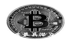 区块链网店推荐：探索最